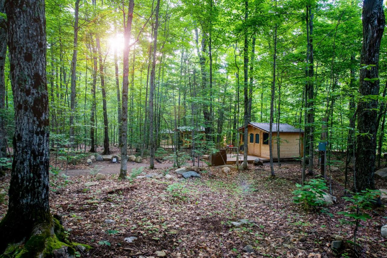 Madawaska Lodge-Cottage Exterior photo